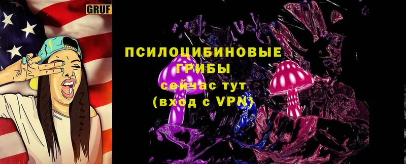 Псилоцибиновые грибы MAGIC MUSHROOMS  Бор 