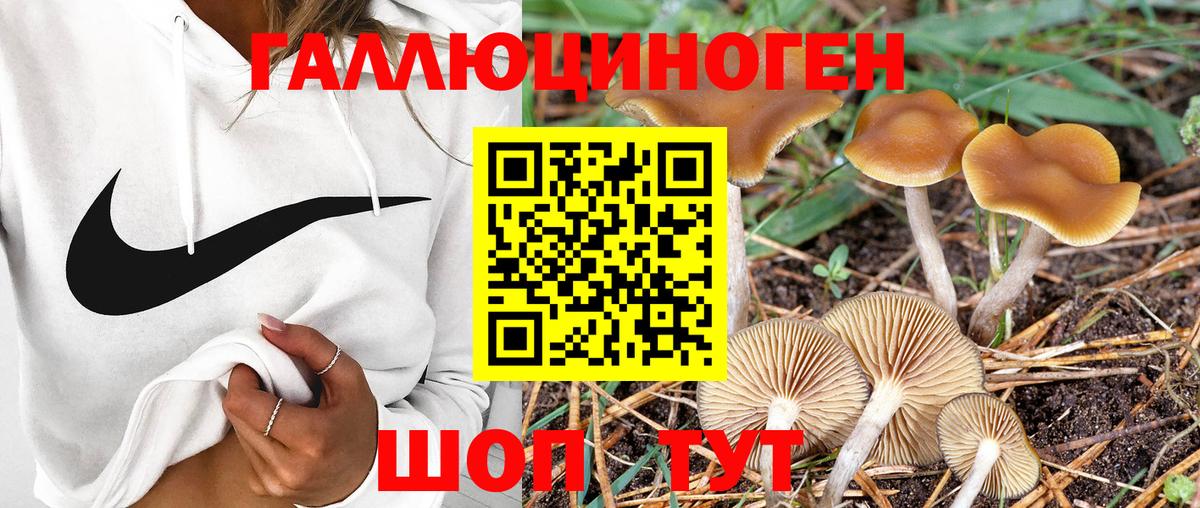 купить наркотик  Псилоцибиновые грибы Psilocybe  Вход с VPN  Бор 