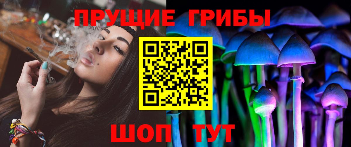 Псилоцибиновые грибы Cubensis Бор